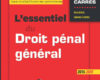 lessentiel du droit penal general 2016 2017