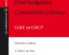 nouveau droit budgetaire