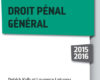 petit lexique droit penal general 2015 2016