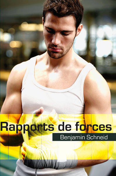 Rapports de forces (roman gay)