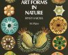 art forms in nature