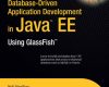 Beginning Database-Driven Application Development ... 4 beginning database driven application development