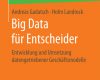 big data fur entscheider