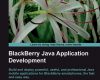 blackberry java application development