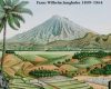 der humboldt von java