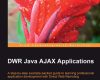 dwr java ajax applications