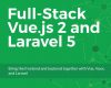 full stack vue js 2 and laravel 5