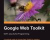 google web toolkit gwt java ajax programming