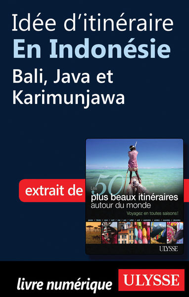 Idée ditinéraire en Indonésie   Bali, Java et Kar...