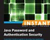 instant java password and authentication security