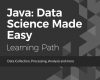 java data science made easy