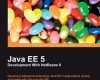java ee 5 development with netbeans 6