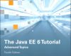 java ee 6 tutorial the advanced topics 4 e