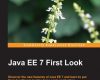 java ee 7 first look