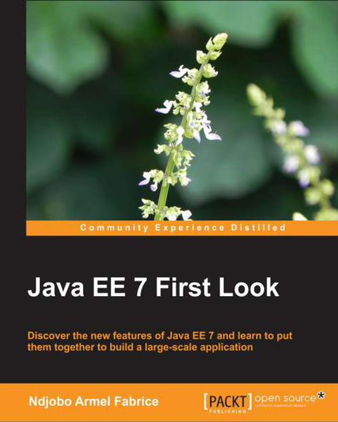 Java EE 7 First Look