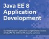 java ee 8 application development
