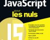 javascript pour les nuls grand format 2e edition