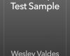 javascript test sample