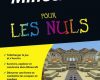 minecraft pour les nuls