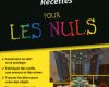 minecraft recettes poche pour les nuls