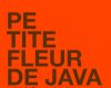 petite fleur de java