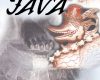 pilgrimage to java