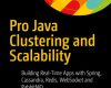 pro java clustering and scalability