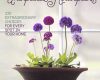 the unexpected houseplant