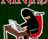 website flipping ninjas