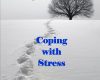 coping with stress relational self help series