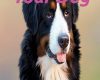 dieting your dog