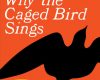 i know why the caged bird sings