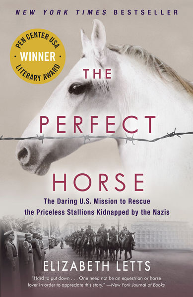 The Perfect Horse