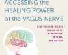 accessing the healing power of the vagus nerve