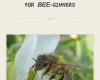 bills little beekeeping bookfor bee ginners