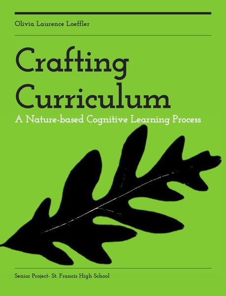 Crafting Curriculum