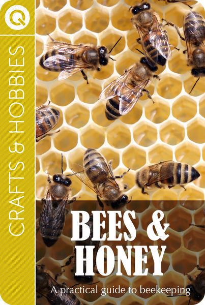 Crafts and Hobbies : Bees and Honey