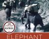 elephant company