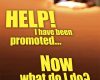 help i have been promoted now what do i do