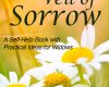 lifting the veil of sorrow a self help book with