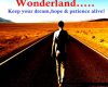 road to success the new wonderland keep your dr