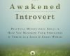 the awakened introvert