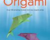 worlds best origami