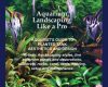 aquascaping aquarium landscaping like a pro