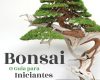 bonsai o guia para iniciantes
