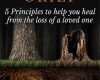 fighting grief