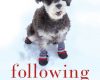 following atticus