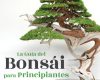 la guia del bonsai para principiantes
