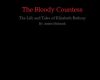 the bloody countess