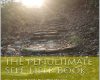 the penultimate self help book